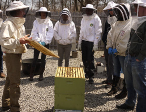 2016 Open Apiary Days