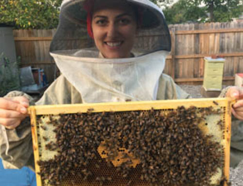 Beekeeping 101 Virtual Course